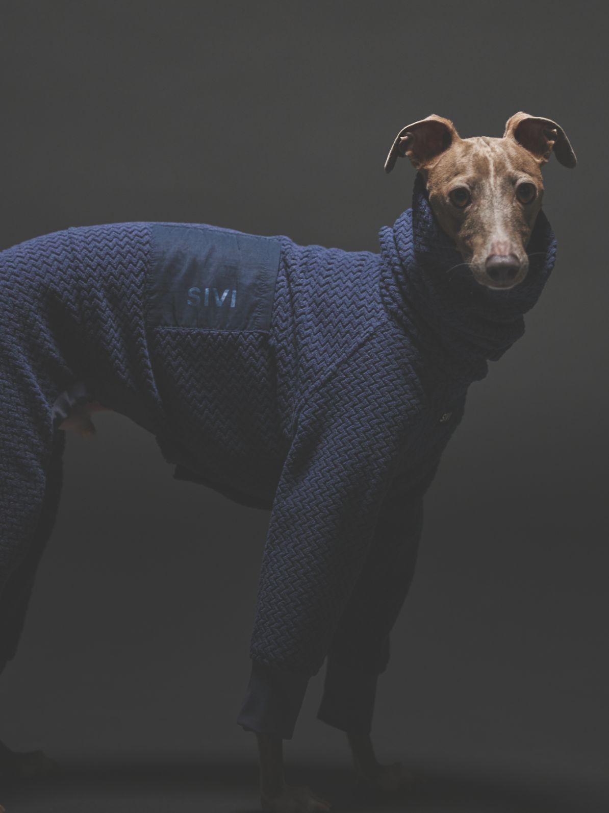 SIVI ブラック フリース犬服 フード付き SIVI ブラック フリース犬服 フード付き