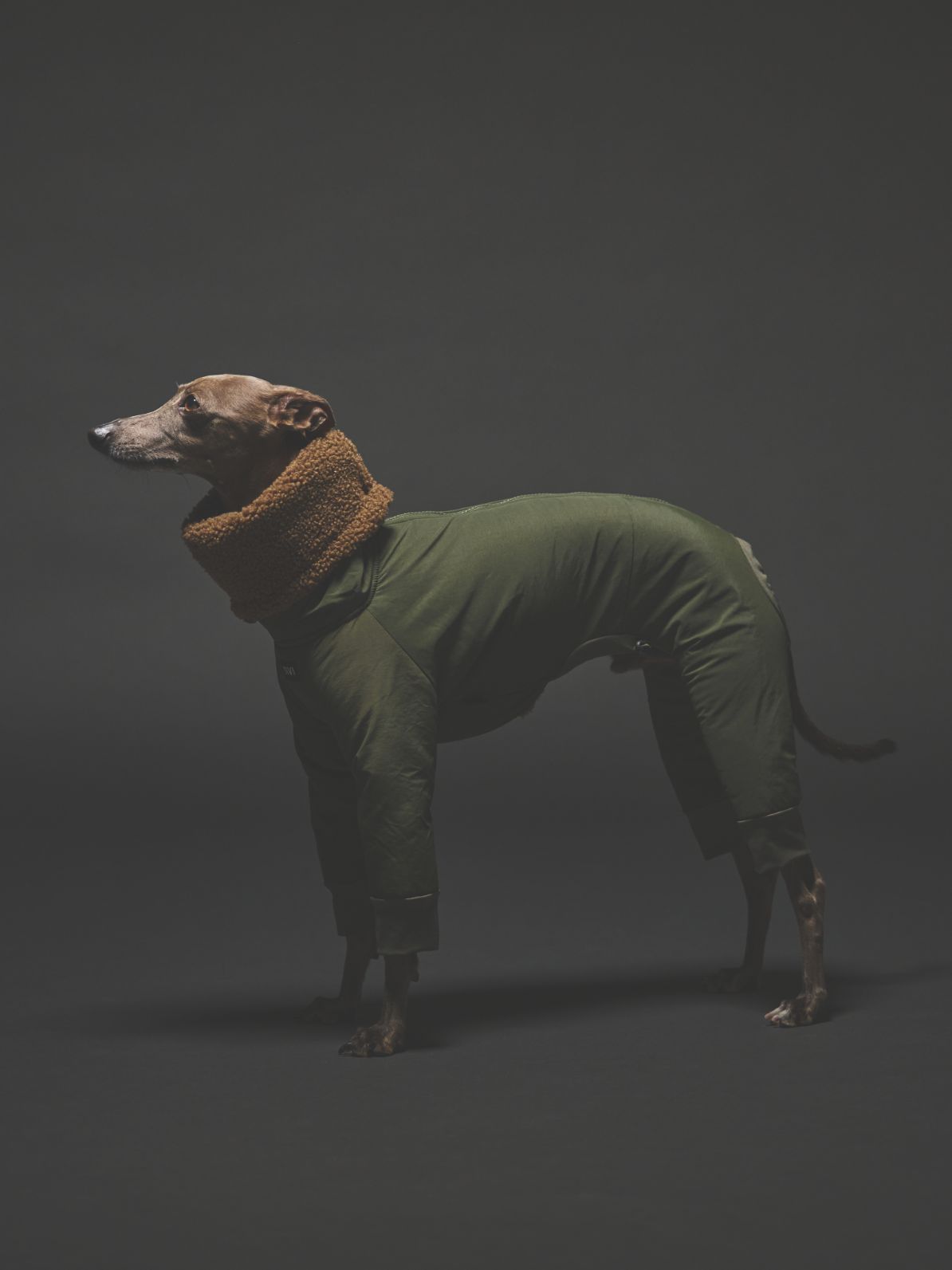 SIVI｜イタグレ 服・ウィペット 服｜犬用アパレルブランド