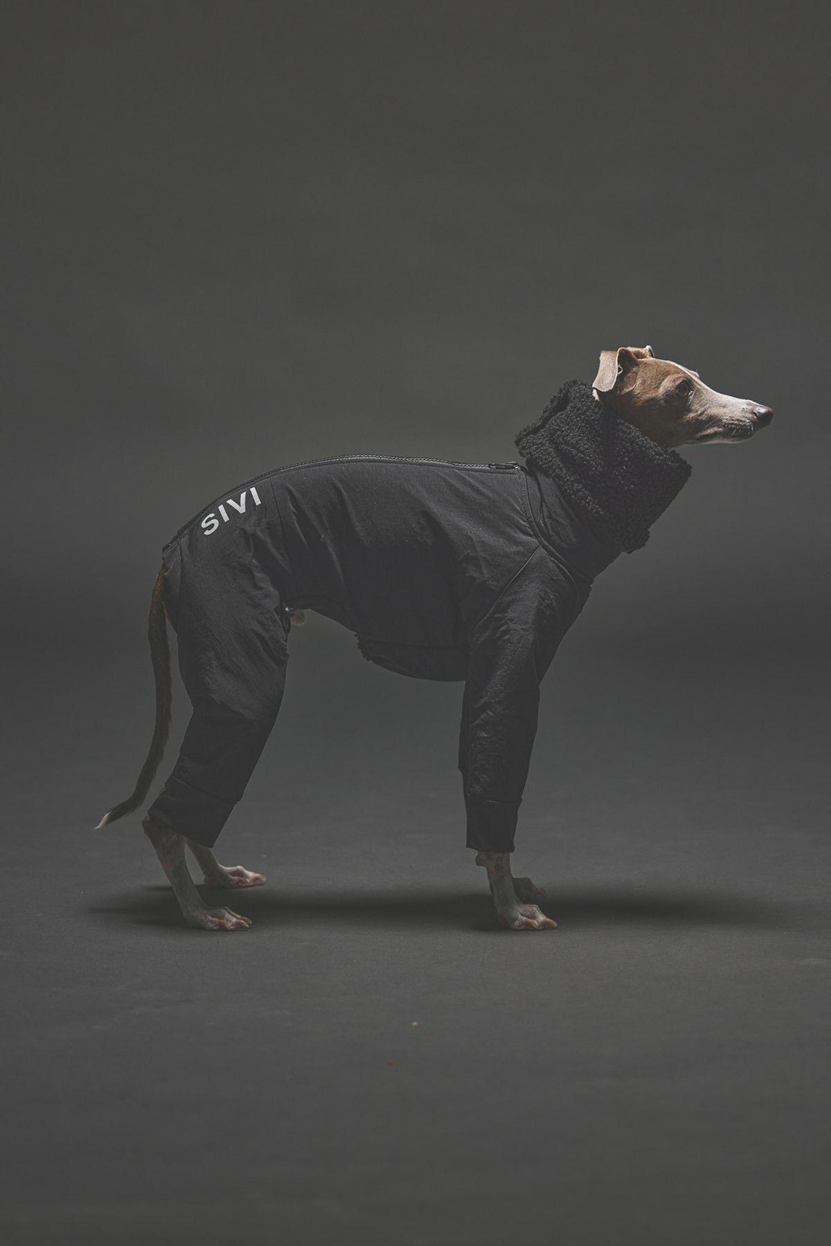 SIVI ブラック フリース犬服 フード付き Amazon | ズートピア 犬服