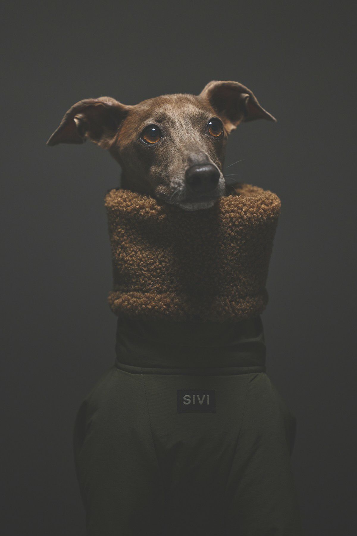 SIVI カーキ ウィンタースーツ XL
