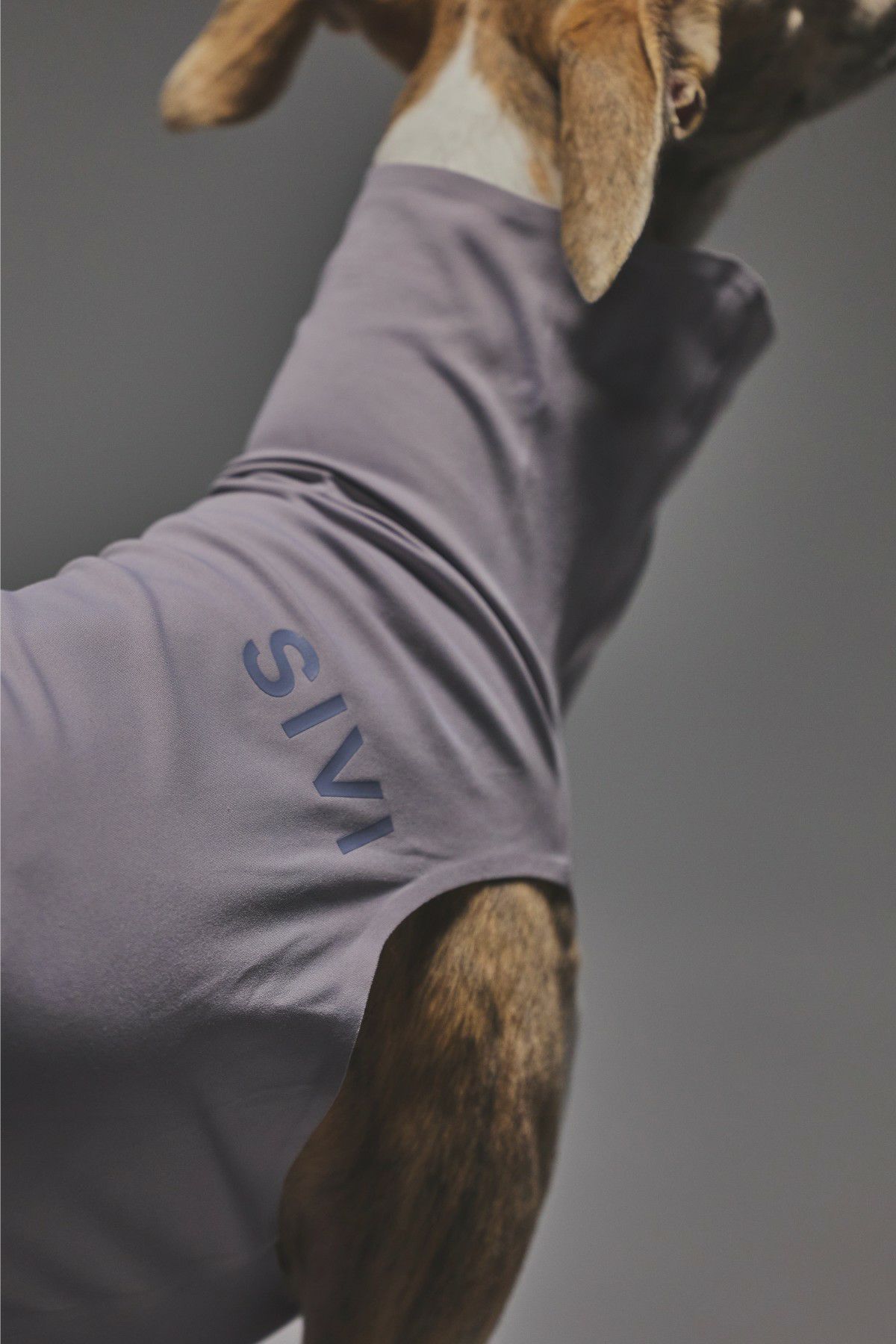 SIVI ZEROSEAM無縫製タンク