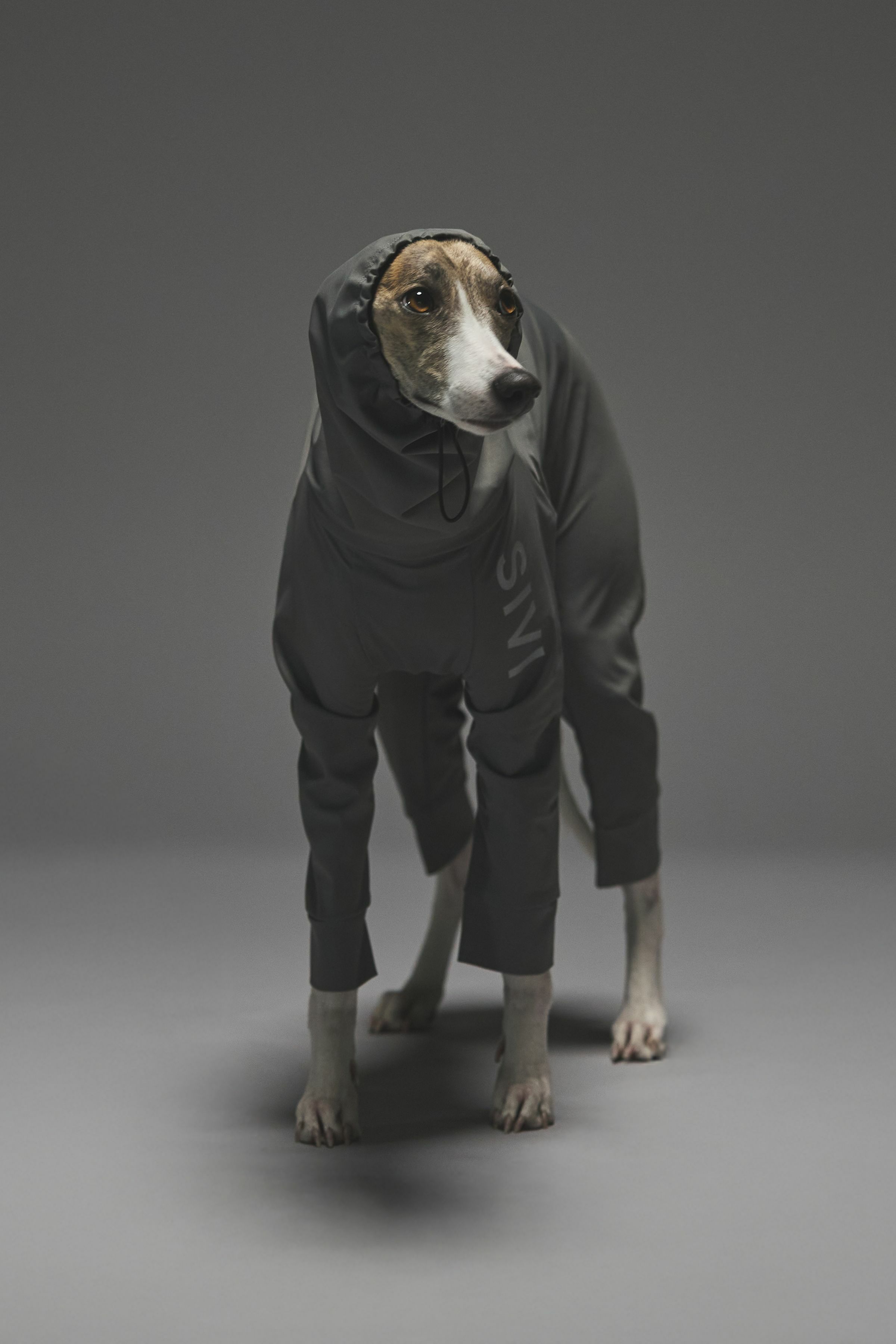 商品一覧 | SIVI｜イタグレ 服・ウィペット 服｜犬用アパレルブランド