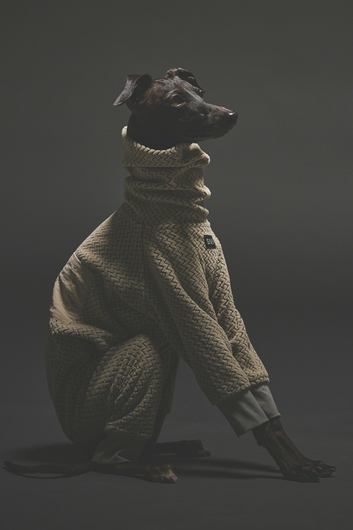 SIVI ブラック フリース犬服 フード付き SIVI テクニカルフリースカバーオール | SIVI｜イタグレ 服
