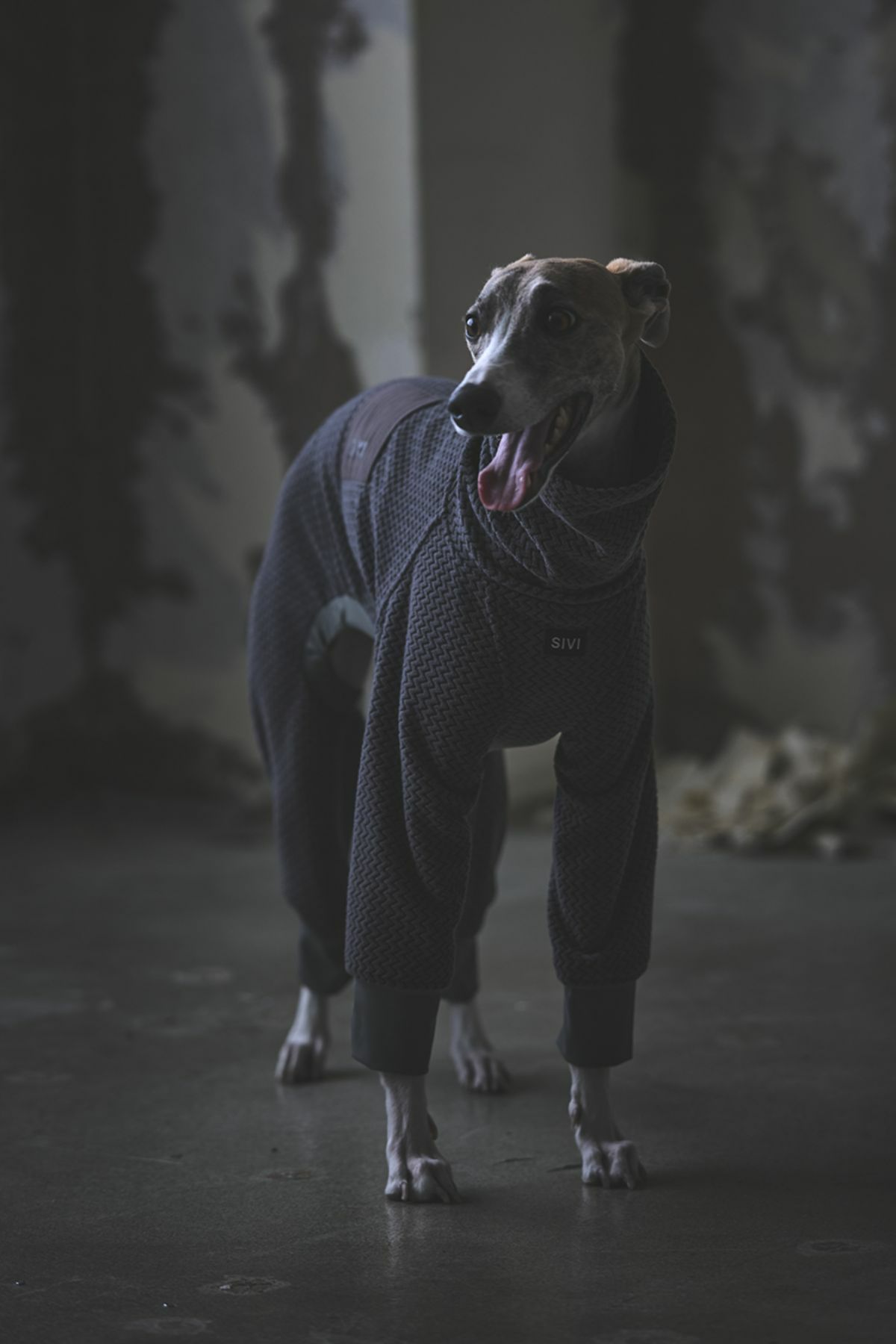 SIVI テクニカルフリースカバーオール | SIVI｜イタグレ 服