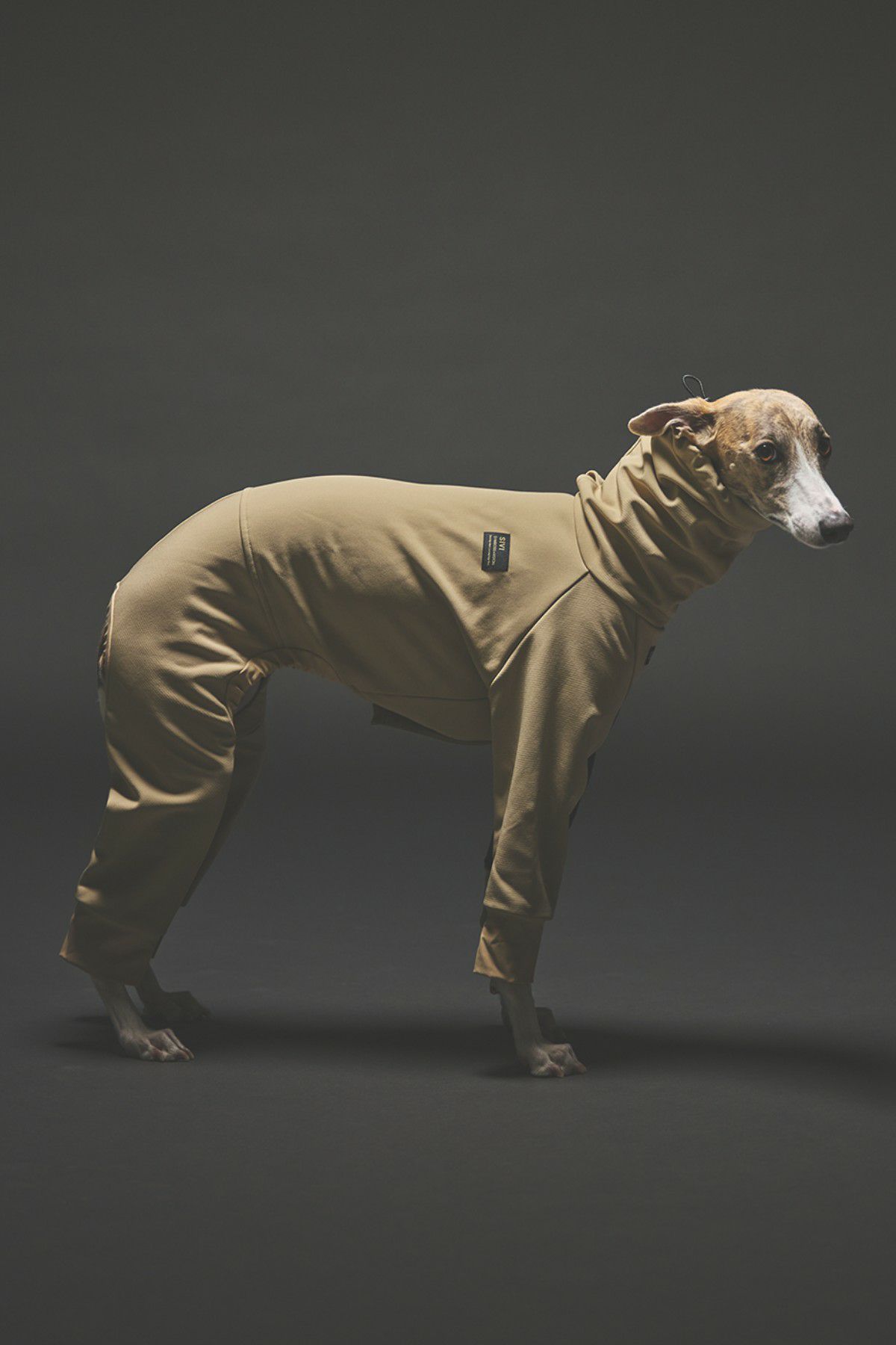 SIVI SOFTSHEL 3Layerカバーオール | SIVI｜イタグレ 服・ウィペット