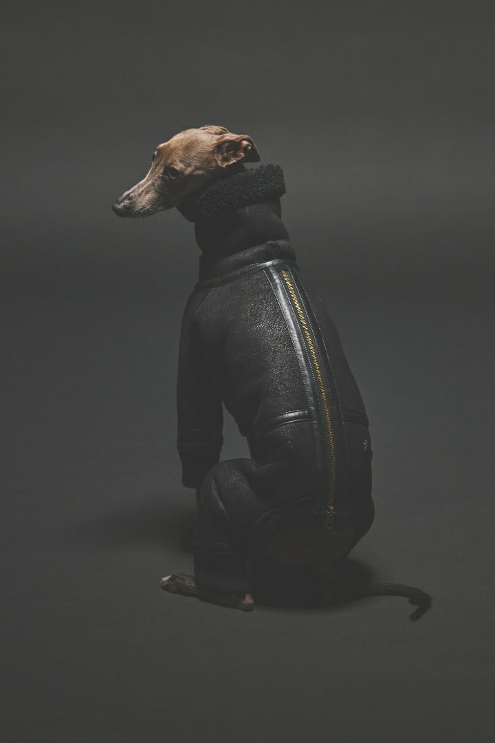 イタグレLunetta B3フライトスーツ SIVI B3フライトスーツ | SIVI｜イタグレ 服・ウィペット 服｜犬用