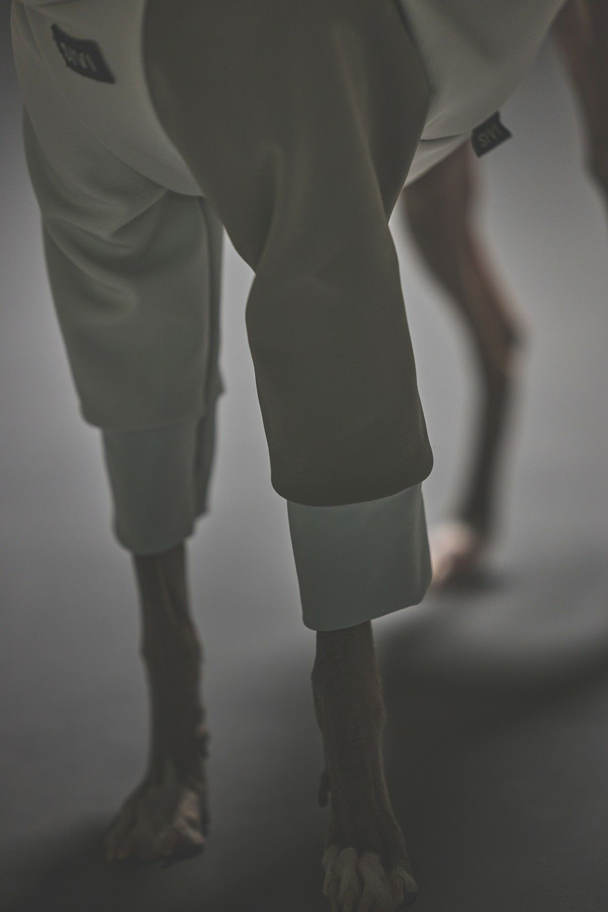 SIVI SOFTSHEL 3Layer長袖フーディ | SIVI｜イタグレ 服・ウィペット