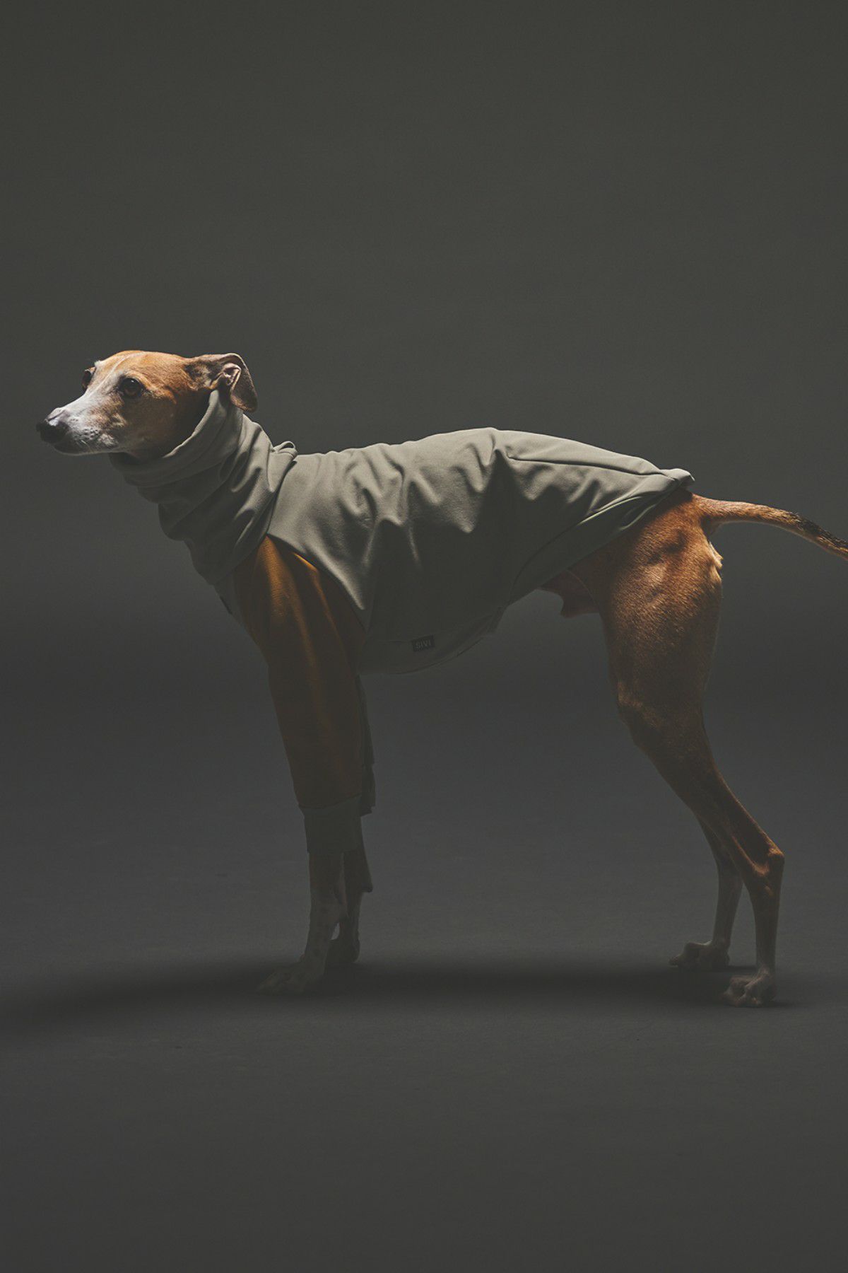 SIVI SOFTSHEL 3Layer長袖フーディ | SIVI｜イタグレ 服・ウィペット