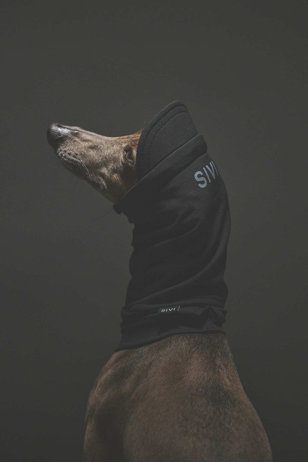 SIVI SOFTSHEL ウォームスヌード | SIVI｜イタグレ 服・ウィペット 服